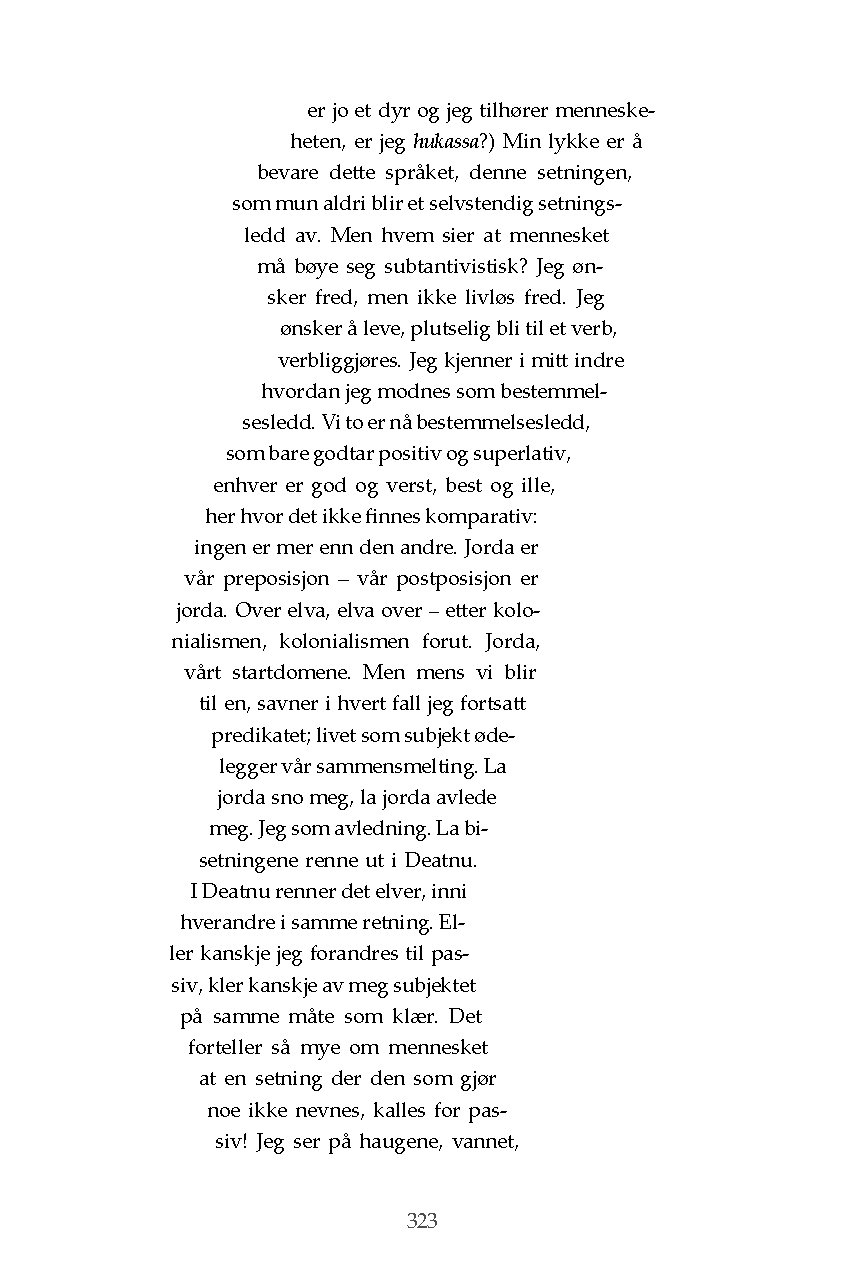 Virvelle / Jalvvi Niillas (Holmberg) - Bilde 7